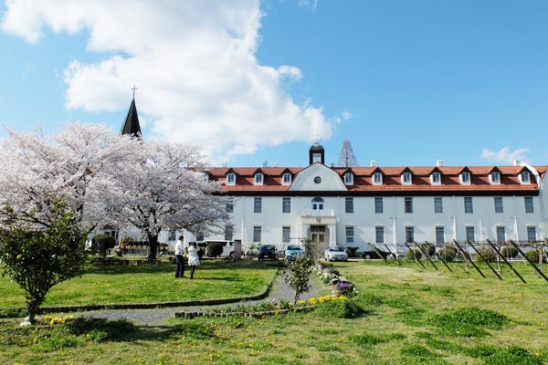 多治見修道院と桜